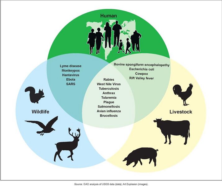 File:Figure 3- Examples of Zoonotic Diseases and Their Affected Populations (6323431516).jpg