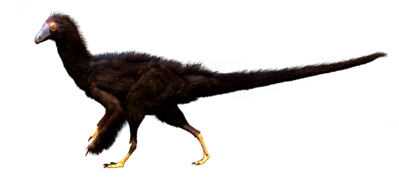File:Fukuivenator (Therizinosauria).png