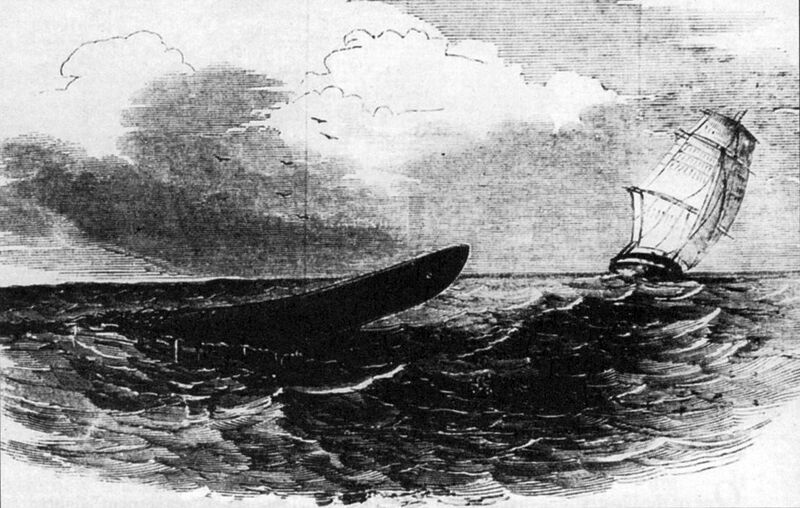 File:HMS Plumper sea serpent 1848.jpg