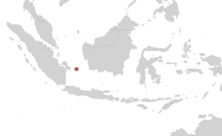 Ichthyophis billitonensis area.png