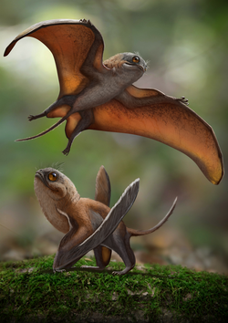 Life reconstruction of Sinomacrops bondei.png