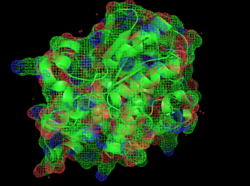 Mesh PyMOL structure of 4-maleylacetoacetate isomerase.png