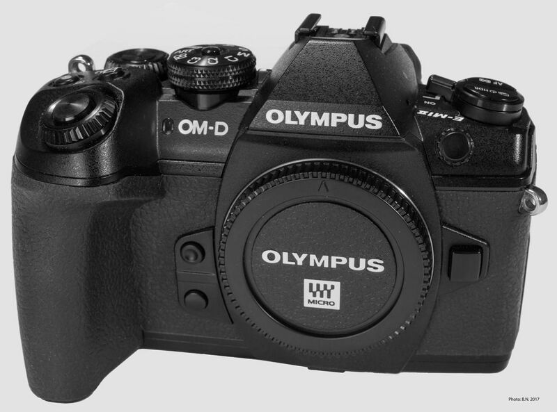File:Olympus OM-D E-M1 Mark II D81 8378-2.jpg
