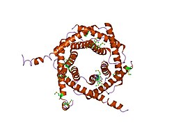 PDB 2bsk EBI.jpg