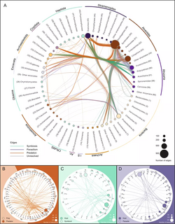 Planktonic protist interactome.webp