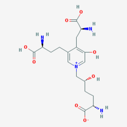 Pyridinoline.png