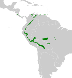 Sclerurus albigularis map.svg