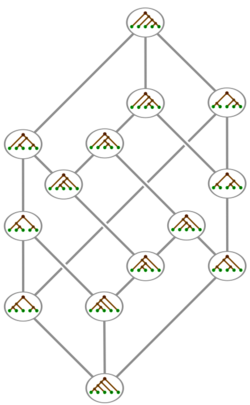Tamari lattice, trees.svg