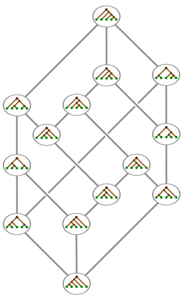 File:Tamari lattice, trees.svg