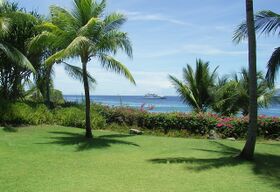 Tropical-area-mactan-philippines.jpg